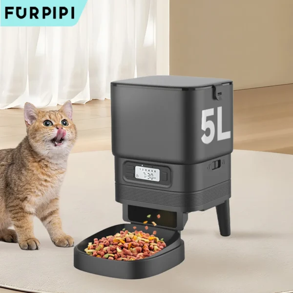 Smart Cat Feeder